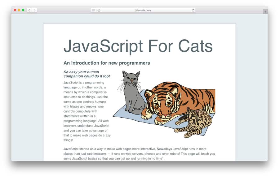 Learn JavaScript with JSforCats